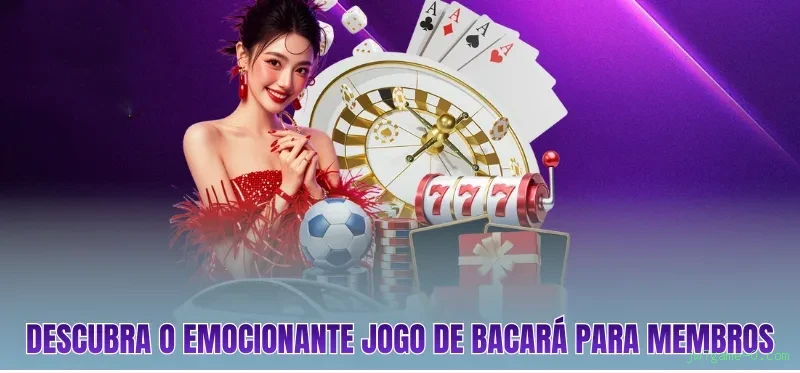 Programa de Fidelidade VIP - 7 Níveis de Recompensas Exclusivas
